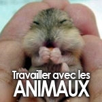 Travailler avec les animaux