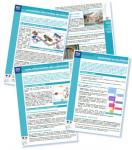 Les fiches : un moyen efficace de se r�approprier les cours