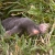 La Pr�pa Scientifique> T�moignage d'une 'taupe' au Lyc�e du Parc de Lyon