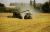 Les m�tiers de l�agriculture qui recrutent : quelles formations ?