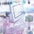 Les �tudes d'informatique � la fac