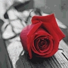 Liloux77