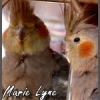 MarieLyne54