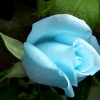 Boutaina93