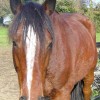 Lily428