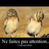 Charlie_8D