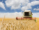 Agriculture