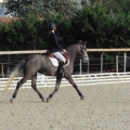 Cavali&egrave;re professionnelle